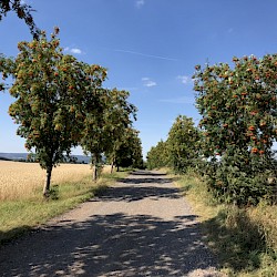 Schöne Farben